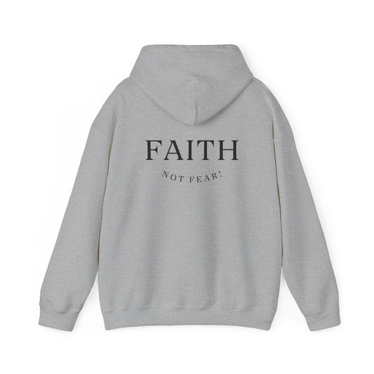 Maverick Faith Not Fear Hoodie Grey